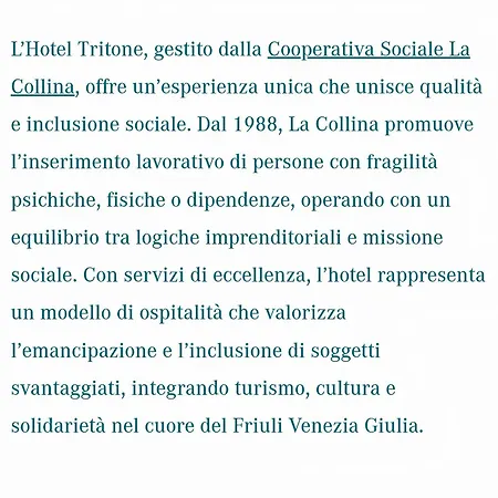فندق Tritone